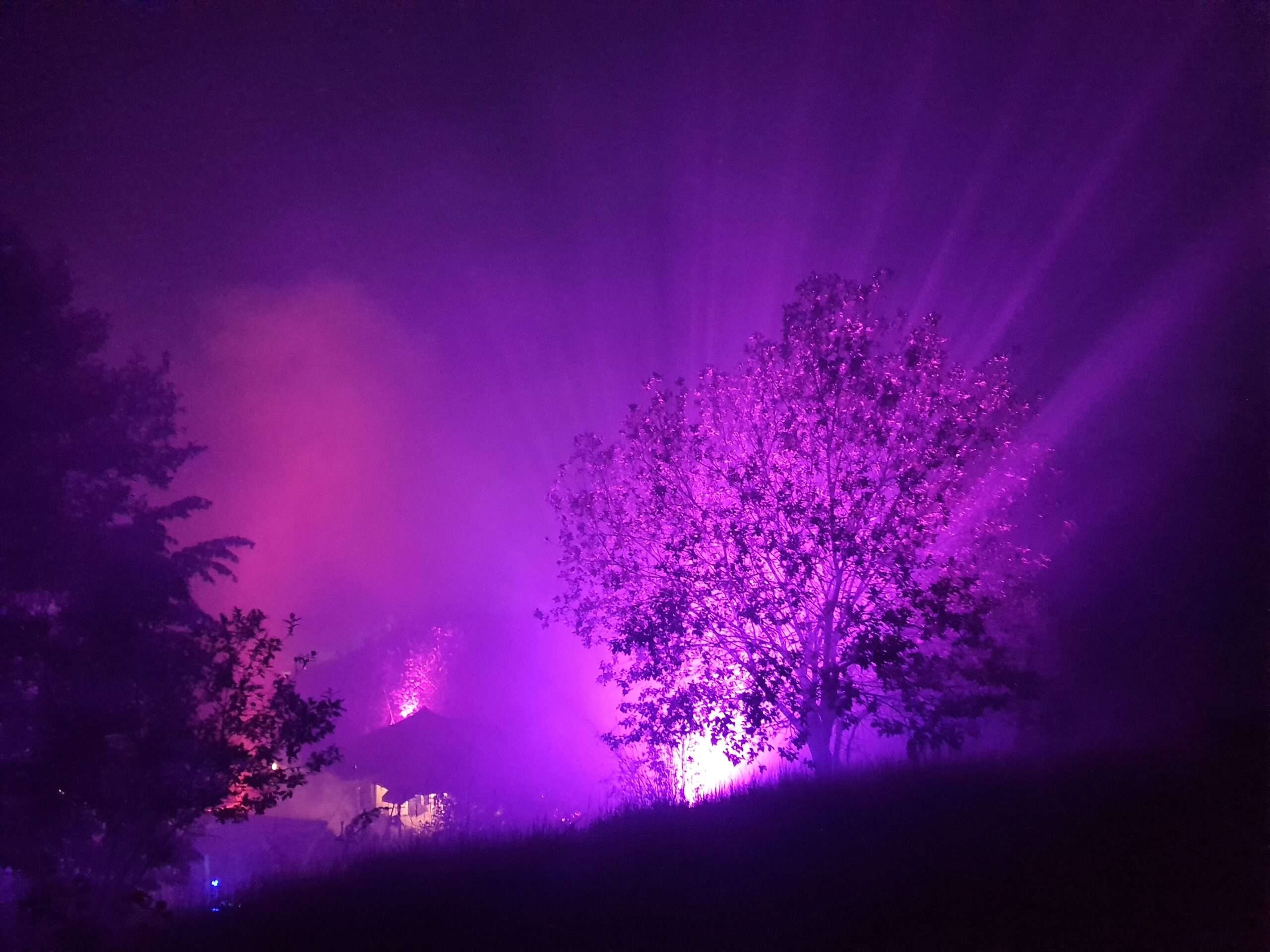 Freiland Festival LED Strahler Baum
